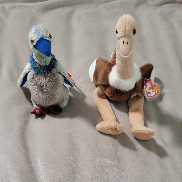 Beanie Babies Other - Ty Beanie Babies - Stretch & Buzzy